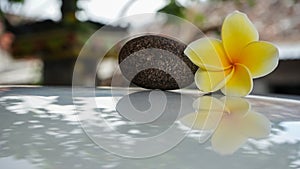 Close up of rocks and yellow frangipani flowers on the table