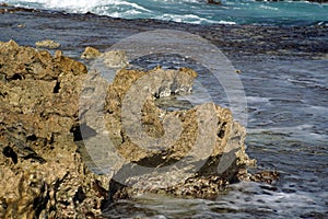 Close up of a rocky coast in Cozumel