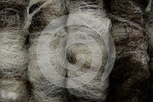 Close-up of rolags of brown and white sheep\'s wool