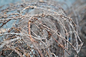 Close up of a roll of rusty barb wire