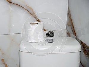 A close-up of a roll of white toilet paper on a toilet cistern