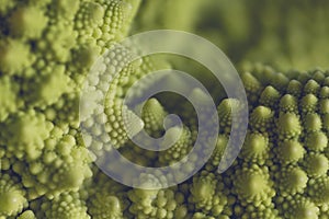 Close up of romanesque cauliflower logarithmic spirals