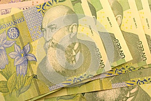 Close up Romanian currency note, LEI or LEU, Romania