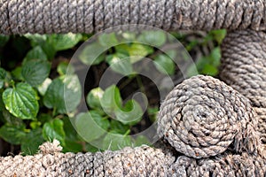 Close up Rope background, Textured background, Plants with Rope Background