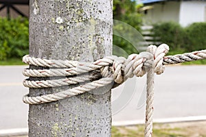 Close up Rope tied around a tree trunk in front of blurred natural background. photo