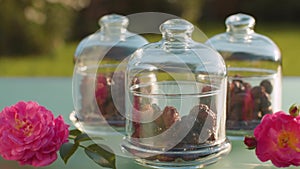 Rosehip berries in glass jars