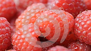 Close up of rotating Raspberries