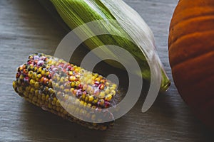 Close up on rotten corn on the table