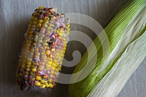 Close up on rotten corn on the table