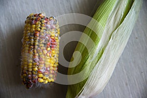 Close up on rotten corn on the table