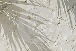 Close-up of a rough, white plaster wall with delicate palm leaf shadows. Nordic style background. Empty, copy space for