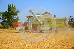 Close up of a round, golden hay bale on a reaped wheat field against blue sky