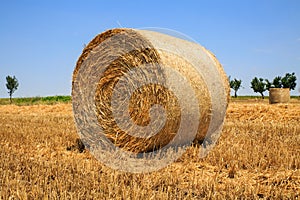 Close up of a round, golden hay bale on a reaped wheat field against blue sky
