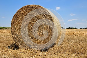 Close up of a round, golden hay bale on a reaped wheat field against blue sky with clouds