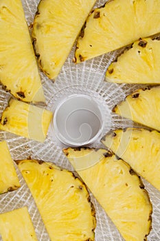 Close-up, in a round grate, sliced fresh pineapple for further drying