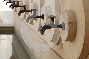 Close up of a row of animal-like water taps