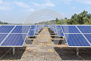 Close up rows array of polycrystalline silicon solar cells or photovoltaic cells in solar power plant station