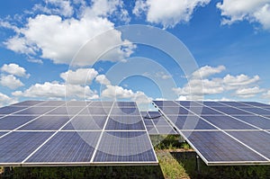 Close up rows array of polycrystalline silicon solar cells or photovoltaics in solar power plant turn up skyward absorb the sunlig photo