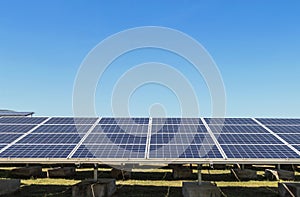 Close up rows array of polycrystalline silicon solar cells or photovoltaics in solar power plant turn up skyward absorb the sunlig