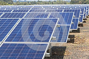 Close up rows array of solar cells or photovoltaics