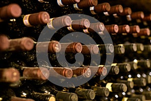 Close up on rows of dusty red wine bottles in a cellar