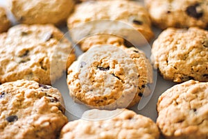 De cerca líneas de sabroso doméstico papilla galletas 