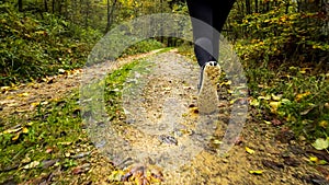 Close up on running shoes of a woman jogging in the forest