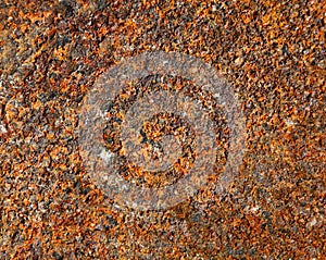 Close up rust and oxidized metal