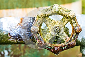A close up of a rusted valve connects to water supply with metal pipe,Industrial metal water tab,seen in a garden
