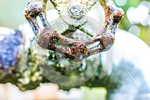 A close up of a rusted valve connects to water supply with metal pipe,Industrial metal water tab,seen in a garden