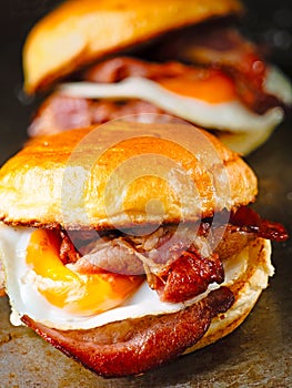 Rustic bacon egg breakfast sandwich bun
