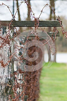 Close-up of a rusty barbed wire fence