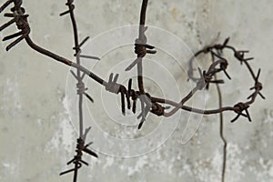 close-up: rusty barbed wire on the reinforced concrete wall