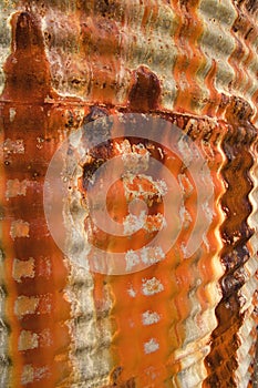 Close-up rusty metal corrugated steel abandon water tank 