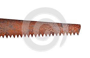 Close up of rusty saw blade