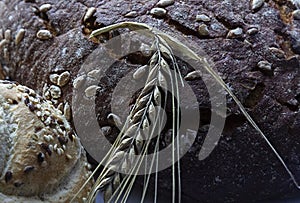 close up of rye ear and bread with seeds as background. Pattern, wallpaper, banner, cover, mockup, for your design, food industry