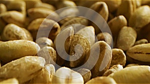 Close-up of rye grains covered with flour. Stock footage. Secale cereale is scientific name of Rye cereal grain