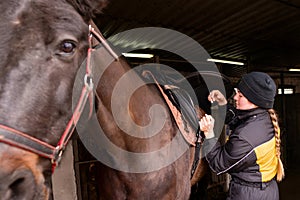 Close-up of saddle adjustment on horse