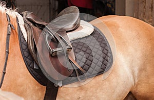 Close up of saddle on horseback, horse in stable