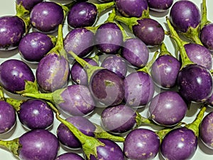 Close-up of salanum macrocarpon plant