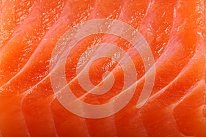 Close-up salmon