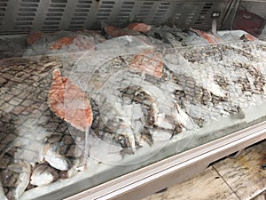 Close up of Salmon fillets on ice case in market