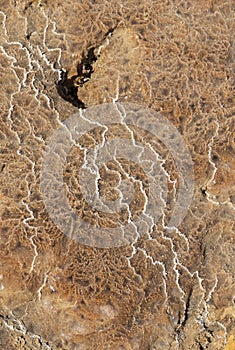 Close up of salt geometries in the plain of salt in the Danakil Depression in Ethiopia, Africa