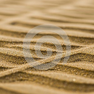 Of wind or water action. The focus is sharp on the foreground