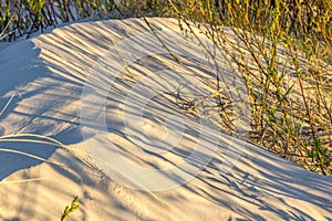 Close up of sand dune in the evening.