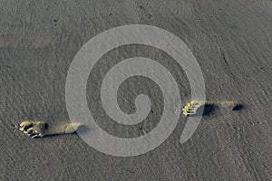 Close up of sand foot prints on a beach