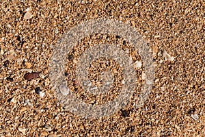 Close up of sand grains on a beach