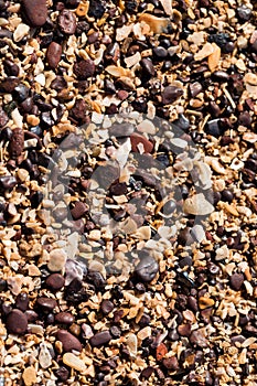 Close up of sand grains and shells on a beach