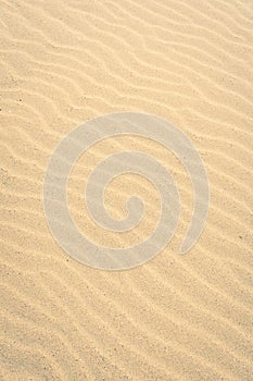 close-up of sand pattern at the Dutch coast, no people
