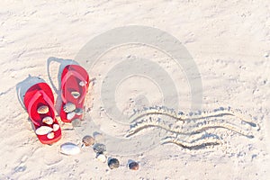 Close up of sand texture with flip flop sandals and shellfishes. photo